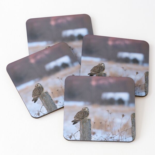 Item preview, Short eared owl designed and sold by locustgirl.