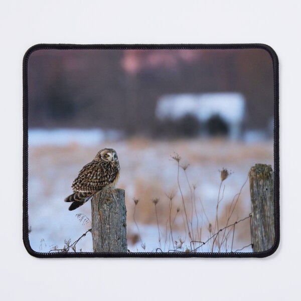 Item preview, Short eared owl designed and sold by locustgirl.