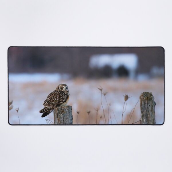 Item preview, Short eared owl designed and sold by locustgirl.