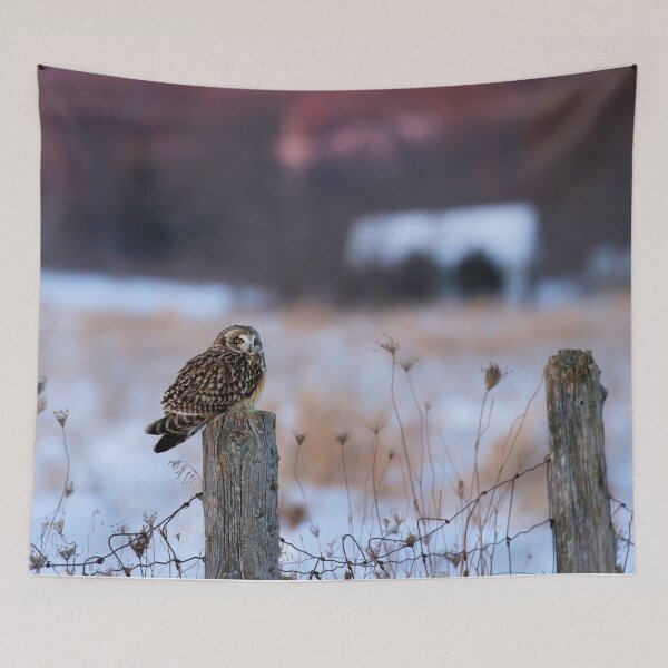 Item preview, Short eared owl designed and sold by locustgirl.