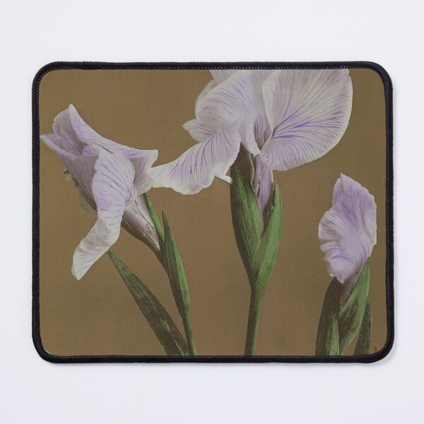 Item preview, Purple Iris Kæmpferi designed and sold by LegacyPressCo.