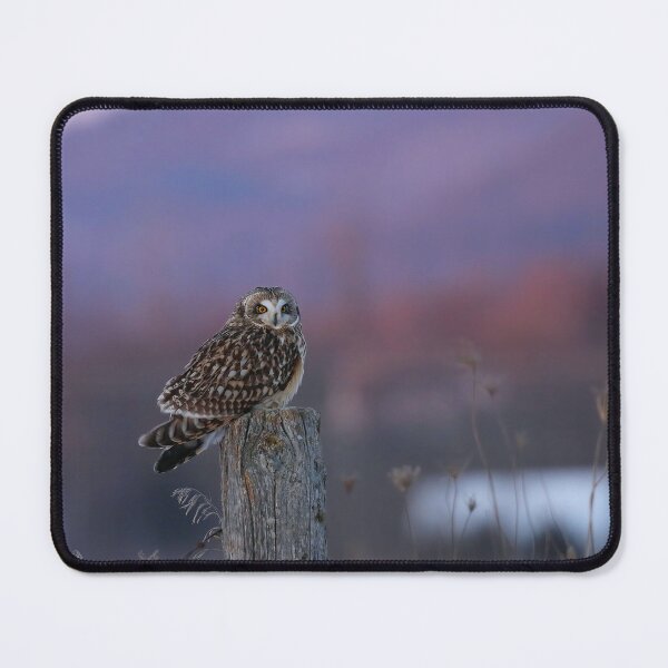 Item preview, Superb Owl designed and sold by locustgirl.