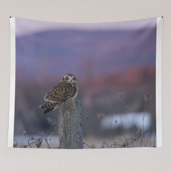 Item preview, Superb Owl designed and sold by locustgirl.