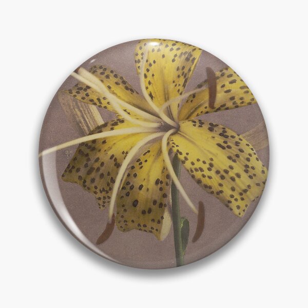 Item preview, Yellow lily designed and sold by LegacyPressCo.