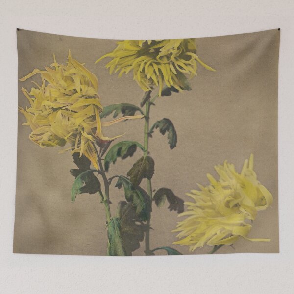Item preview, Ku-moi-sakura designed and sold by LegacyPressCo.