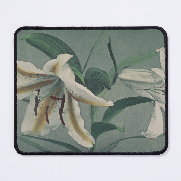 Item preview, Two Lilies designed and sold by LegacyPressCo.