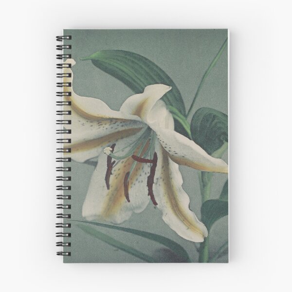 Item preview, Two Lilies  designed and sold by LegacyPressCo.