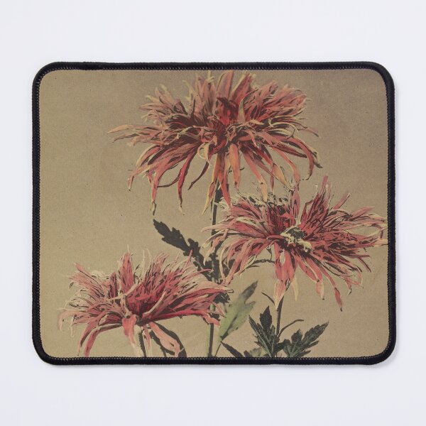 Item preview, Red Chrysanthemum designed and sold by LegacyPressCo.