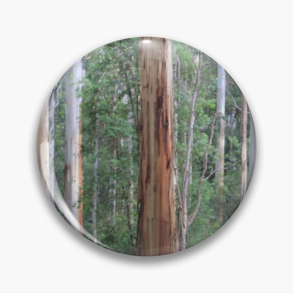 Item preview, Forest designed and sold by Russell-art88.