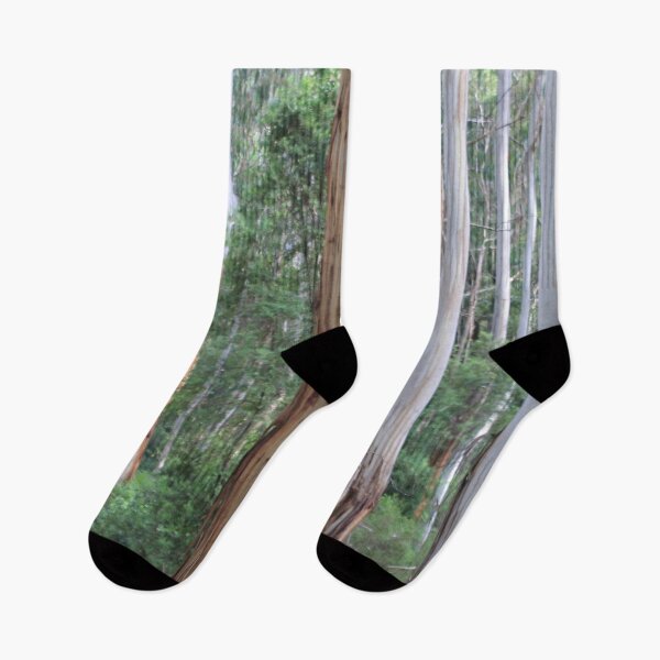 Item preview, Forest designed and sold by Russell-art88.