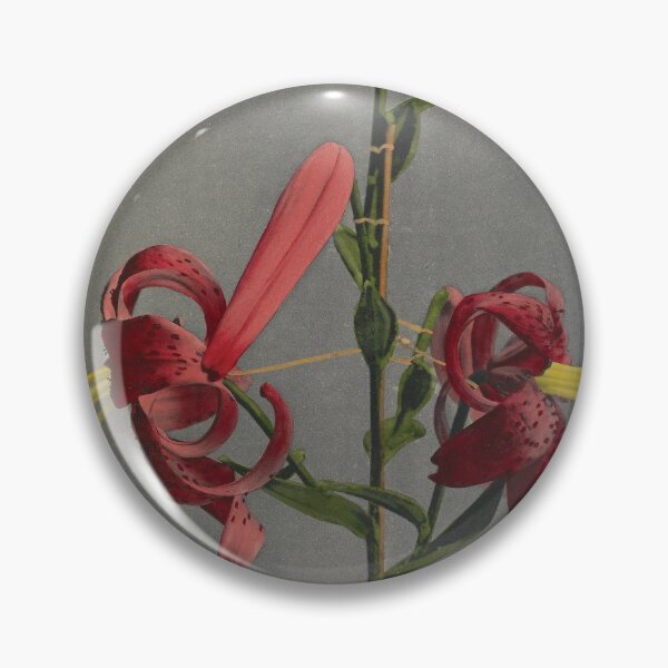 Item preview, Red Lilies  designed and sold by LegacyPressCo.