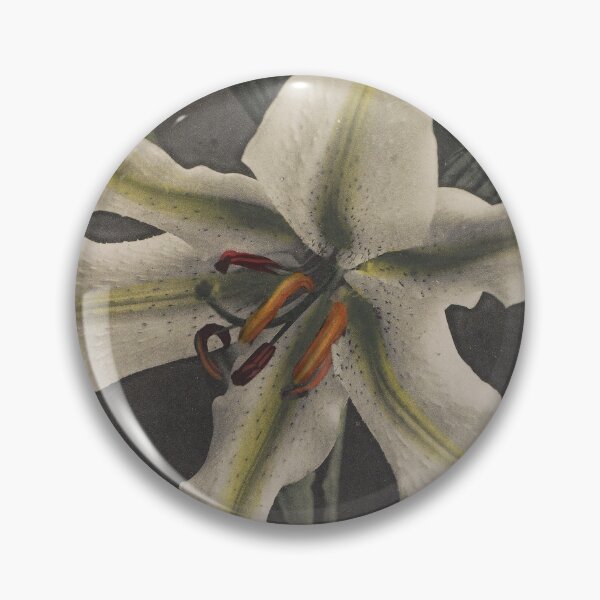 Item preview, White Lily designed and sold by LegacyPressCo.