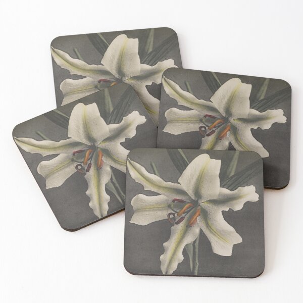 Item preview, White Lily designed and sold by LegacyPressCo.