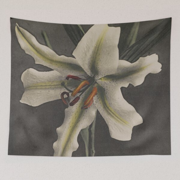 Item preview, White Lily designed and sold by LegacyPressCo.