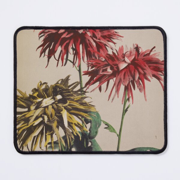 Item preview, Chrysanthemum Trio designed and sold by LegacyPressCo.
