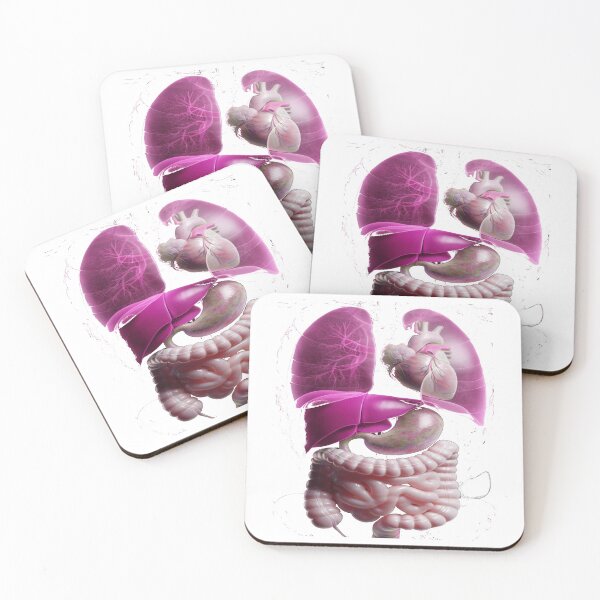 Item preview, Human Anatomy – Internal Organs Illustration designed and sold by Phoenix Créations.