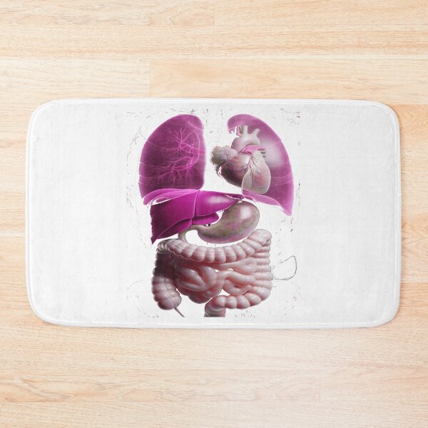 Item preview, Human Anatomy – Internal Organs Illustration designed and sold by Phoenix Créations.