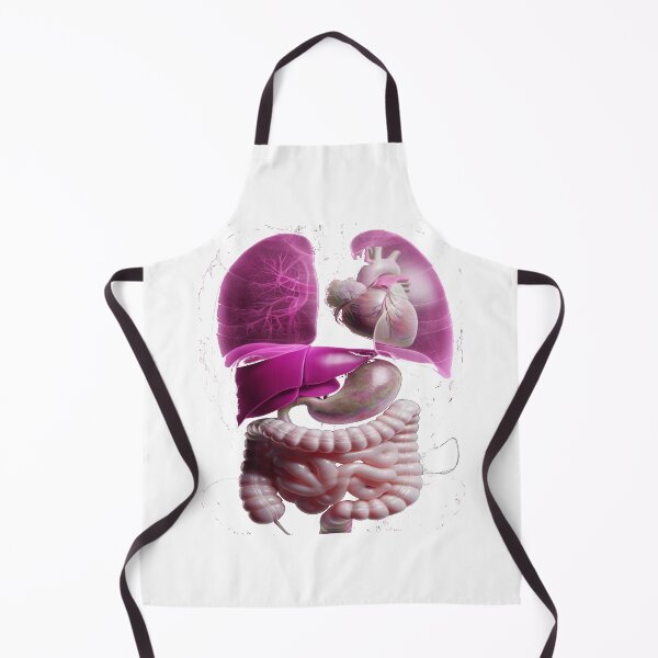 Item preview, Human Anatomy – Internal Organs Illustration designed and sold by Phoenix Créations.