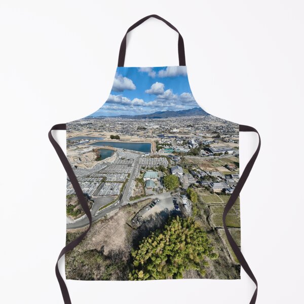 Item preview, Temple 47 - Yasaka-ji Temple - Aerial Image designed and sold by Japaholic.