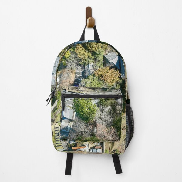 Item preview, Temple 46 - Joruri-ji Temple - Aerial Image designed and sold by Japaholic.