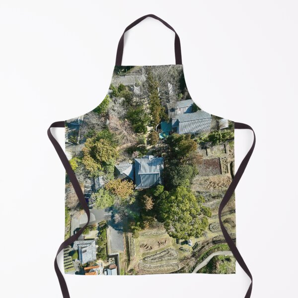 Item preview, Temple 46 - Joruri-ji Temple - Aerial Image designed and sold by Japaholic.