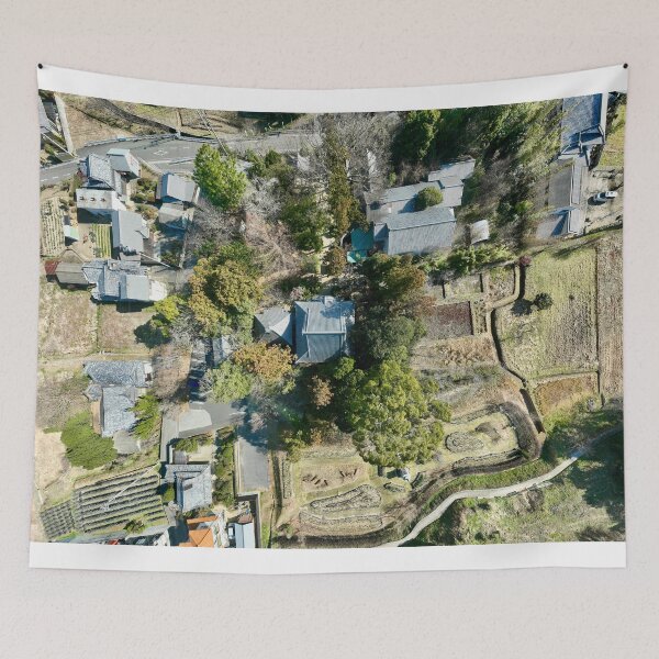 Item preview, Temple 46 - Joruri-ji Temple - Aerial Image designed and sold by Japaholic.
