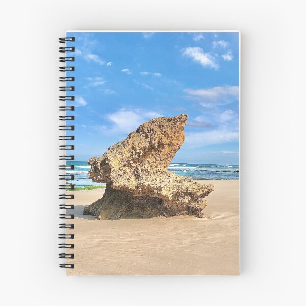 Item preview, Lizard Head Rock designed and sold by Neil Andersen Imagery.