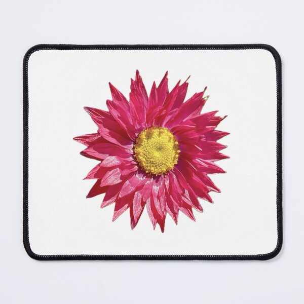 Item preview, Everlasting Daisy designed and sold by Neil Andersen Imagery.