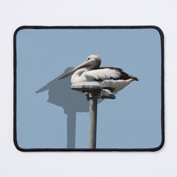 Item preview, Pelican sitting on pole designed and sold by MacLittle.