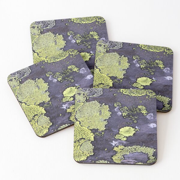 Item preview, lichen designed and sold by KathleenDawson.