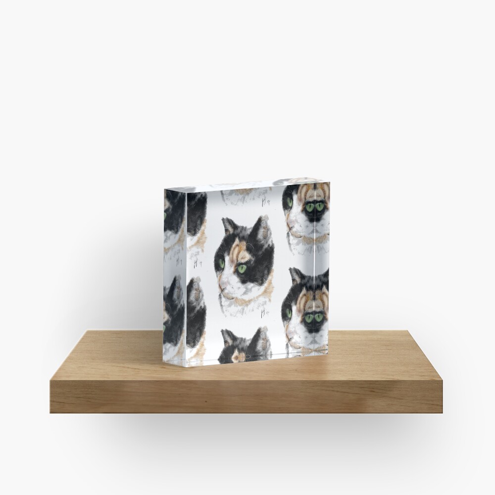 Serious Green Eyes Kittie Cat Acrylic Block