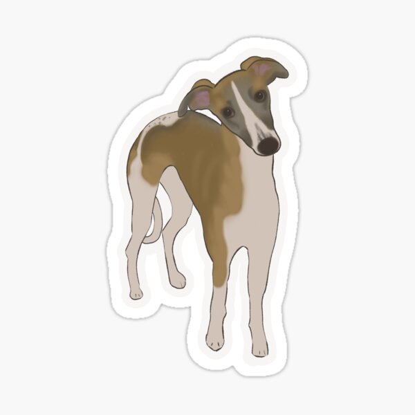 Artikel-Vorschau von Alfie der Whippet, designt und verkauft von sporklyn.
