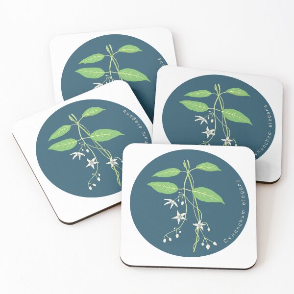 Item preview, Cynanchum elegans designed and sold by Zerklandia.