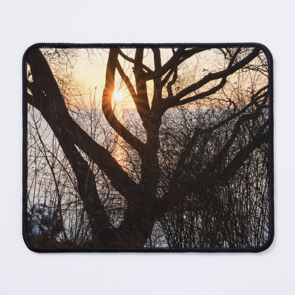 Item preview, Sunrise Behind the Shoreline Willows designed and sold by Georgia Mizuleva.