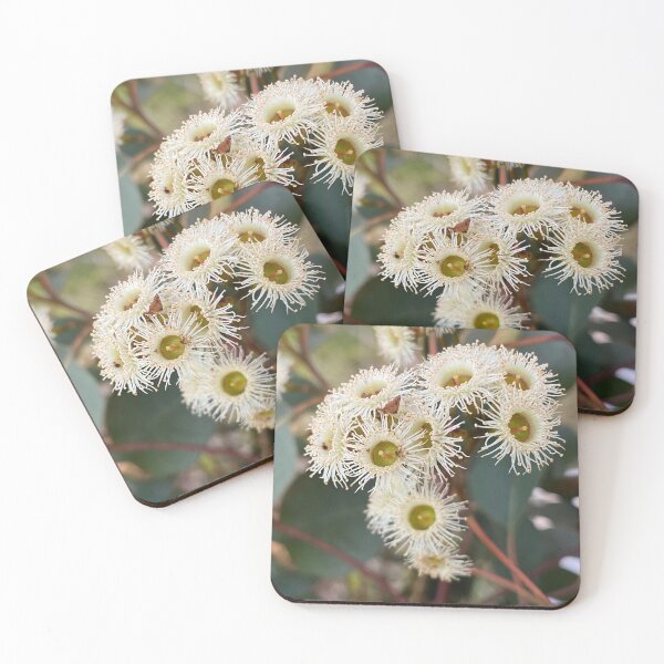 Item preview, Eucalyptus flowers designed and sold by Arcane Botanica.