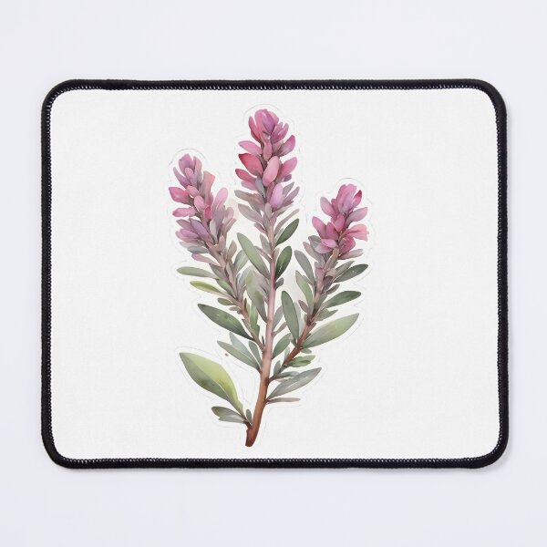 Item preview, Pink Texas Sage (Leucophyllum frutescens) designed and sold by HOMETOWN86.