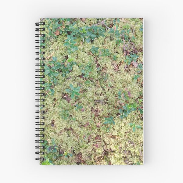 Item preview, Moss and lingonberry designed and sold by House-of-Wyld.