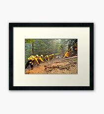 Fire Fight Framed Print