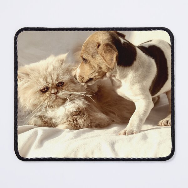 Item preview, What on EARTH makes you think I want to be your friend? designed and sold by micklyn.