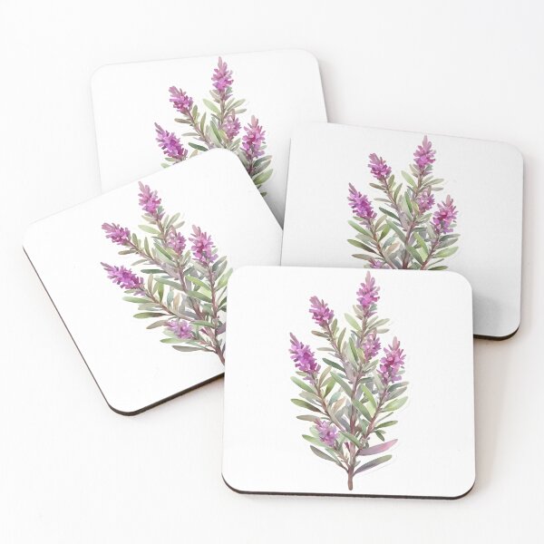Item preview, Magenta Texas Sage (Leucophyllum frutescens) designed and sold by HOMETOWN86.