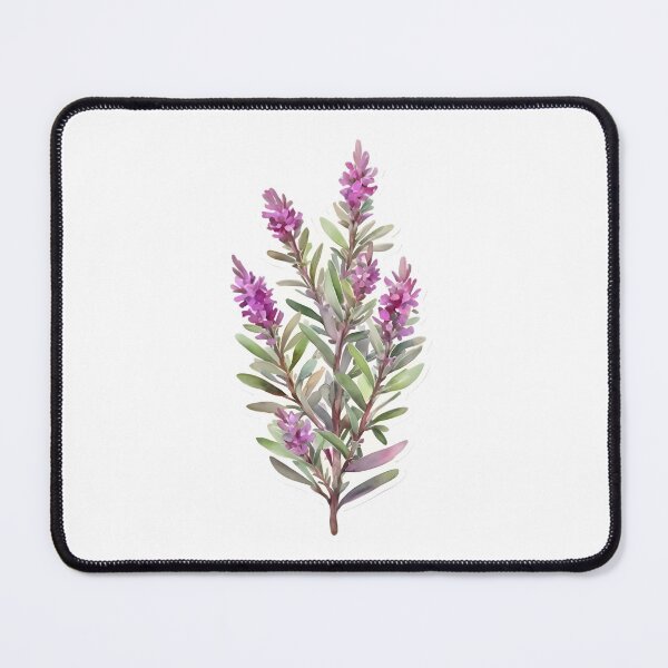Item preview, Magenta Texas Sage (Leucophyllum frutescens) designed and sold by HOMETOWN86.