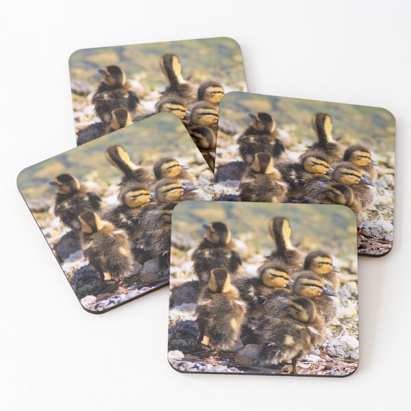 Item preview, Baby Mallard Ducks designed and sold by Carla Jensen.