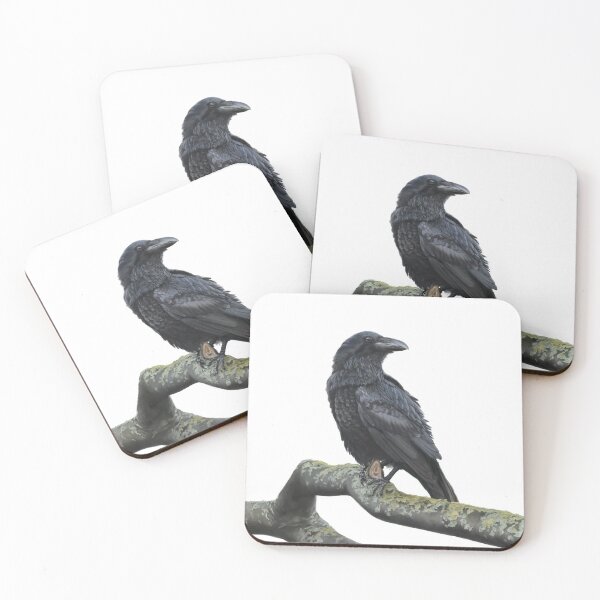 Item preview, Black lone raven on a tree branch designed and sold by illustra-terra.
