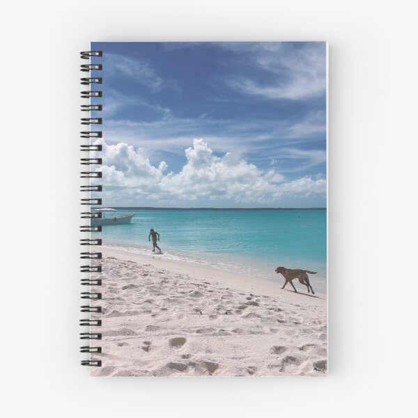 Aperçu de l'œuvre Copie de Enfant et chien sur la plage de Los Roques créée et vendue par Carolina Salazar.