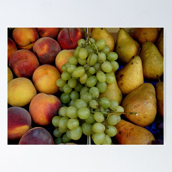 Item preview, Fruit for Thought designed and sold by Hallie Duesenberg.