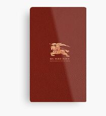 burbery brown Metal Print