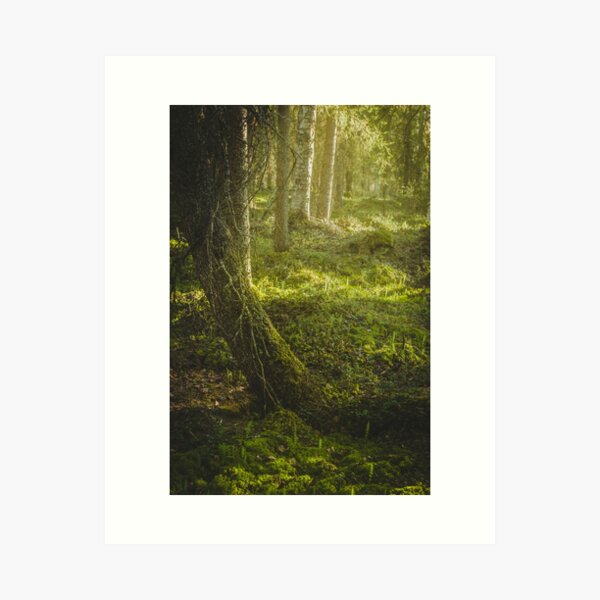 Wildwood Art Print