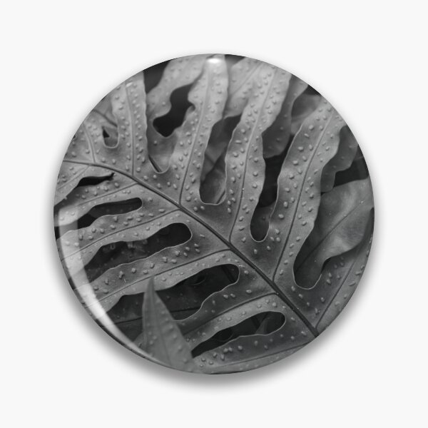 Item preview, Wart Fern (B/W) designed and sold by Crystal Vision Photo Art.