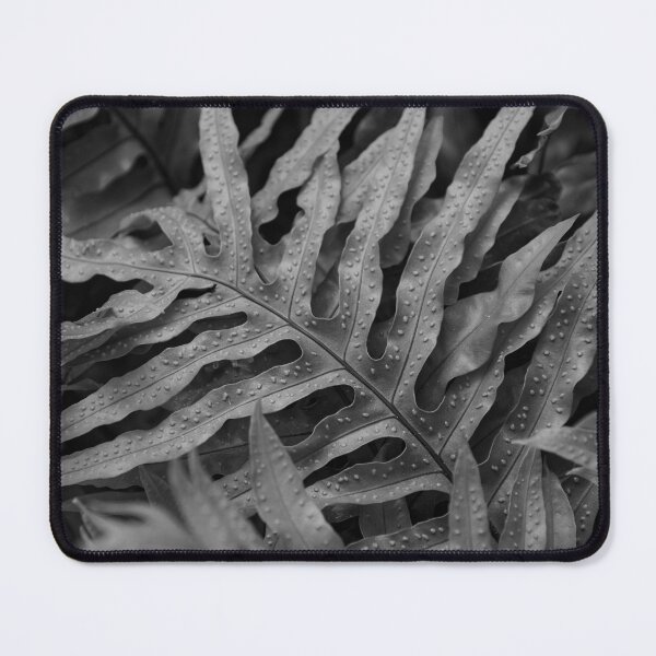 Item preview, Wart Fern (B/W) designed and sold by Crystal Vision Photo Art.