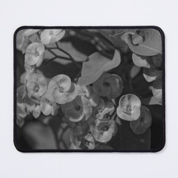 Item preview, Crown of Thorns 2 (B/W) designed and sold by Crystal Vision Photo Art.